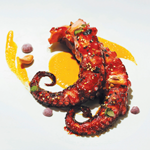 Plat Poulpe laque