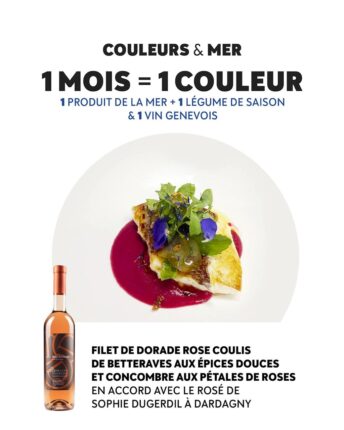 Une année culinaire guidée par la couleur
