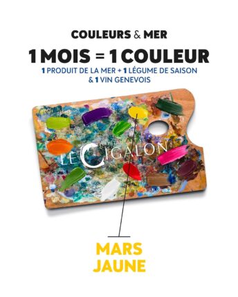 Une année culinaire guidée par la couleur