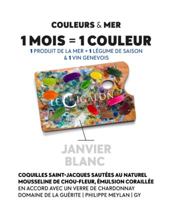Une année culinaire guidée par la couleur
